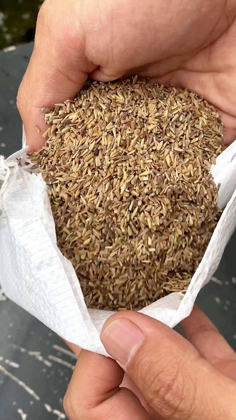 世林集团招工信息:行业趋势与岗位需求